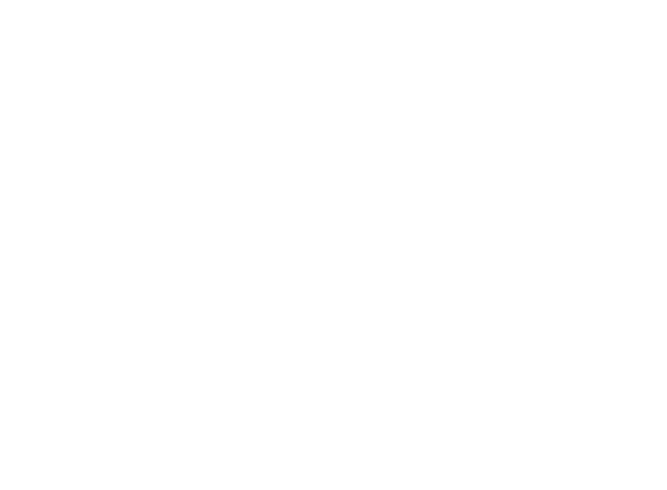 Logo Text freigestellt weiß Münster Original